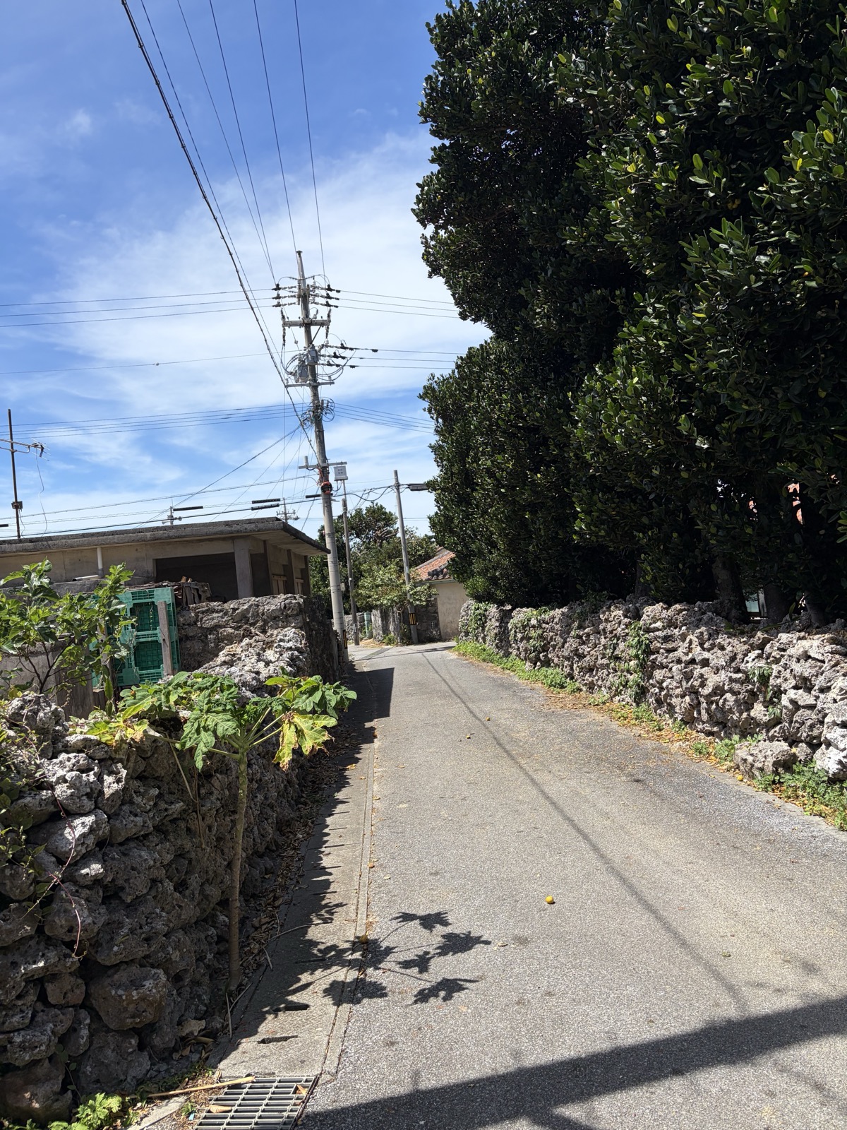 集落の路地