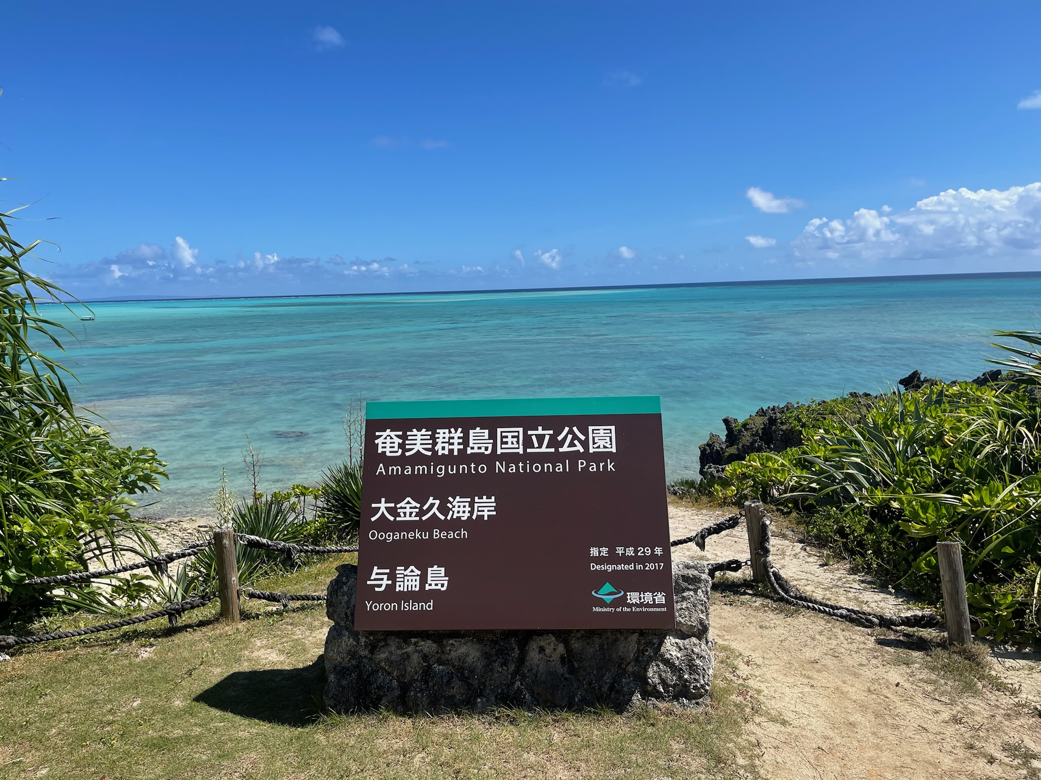 【実食レポ】与論島グルメおすすめ12選|失敗しないランチ&ディナーを全店まわってきた